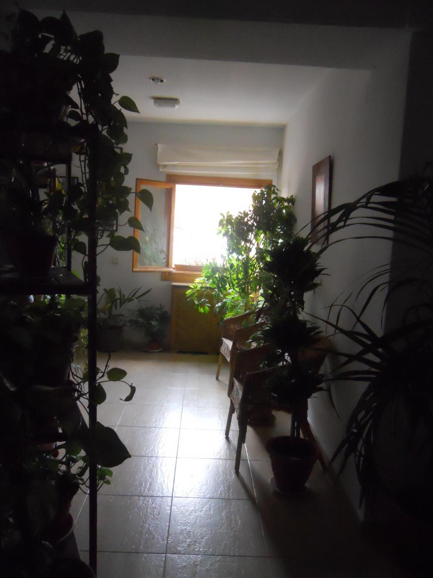 Hostal El Descanso Madrid Eksteriør bilde